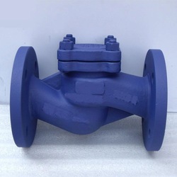 Lift Check Valves