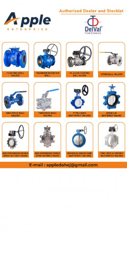 pneumatic valve
