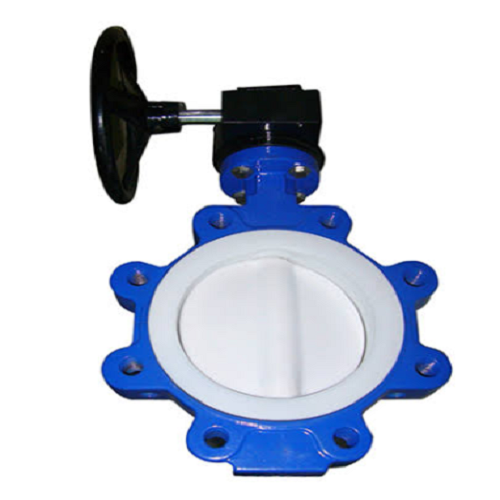PTFE Seated Butterfly Valve