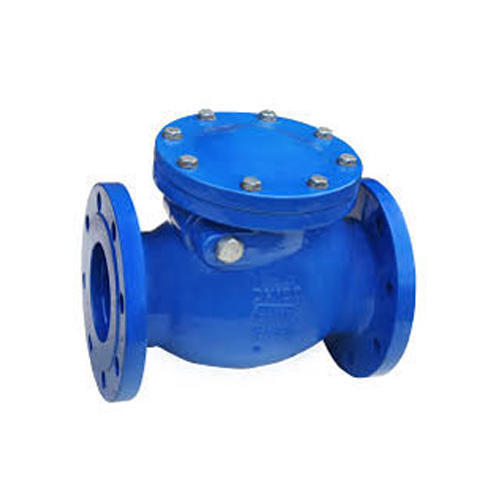 AMTECH Swing Type Non Return Valves