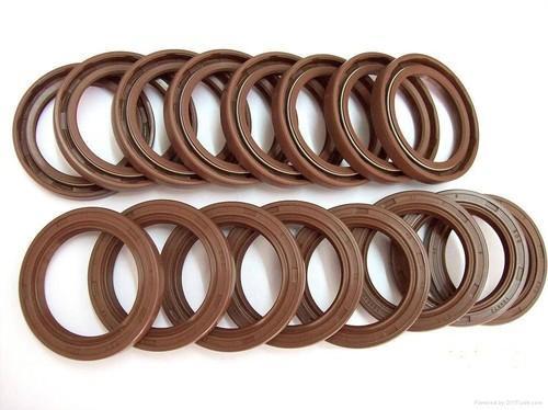 Viton Rubber Oil Seal